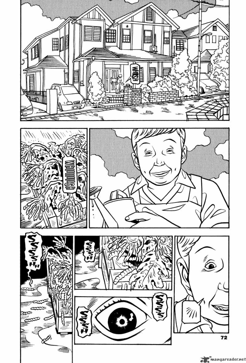 soil_11_15
