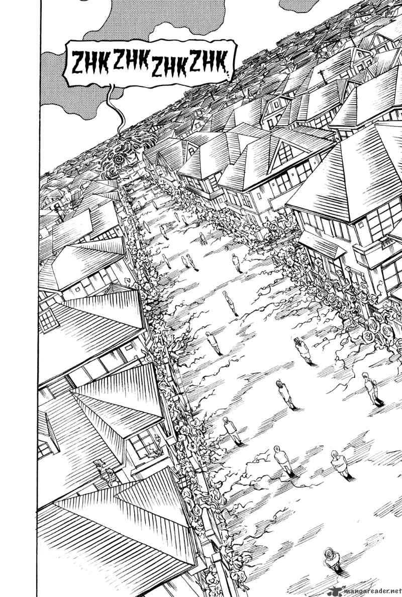 soil_41_11