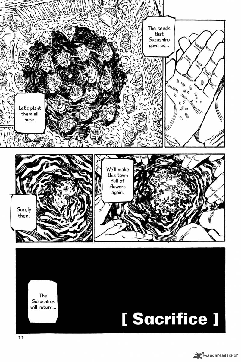 soil_73_13