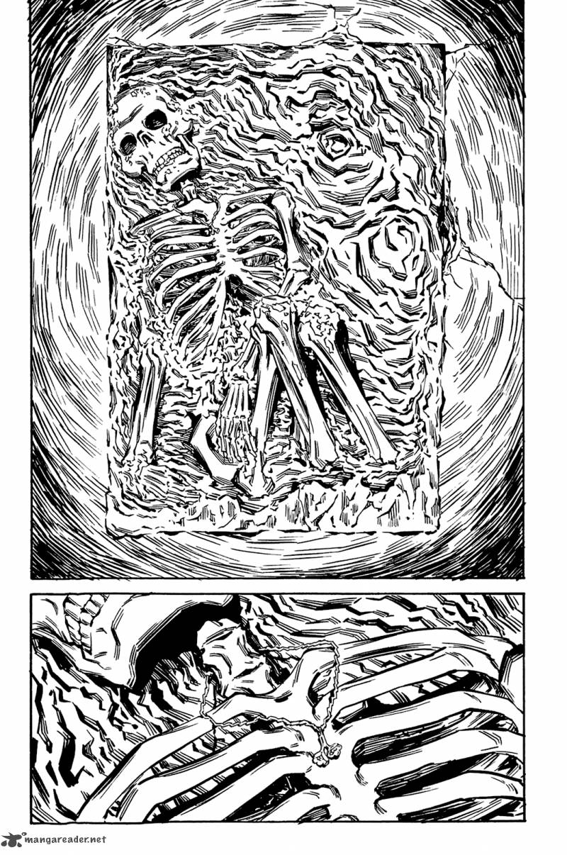 soil_78_16