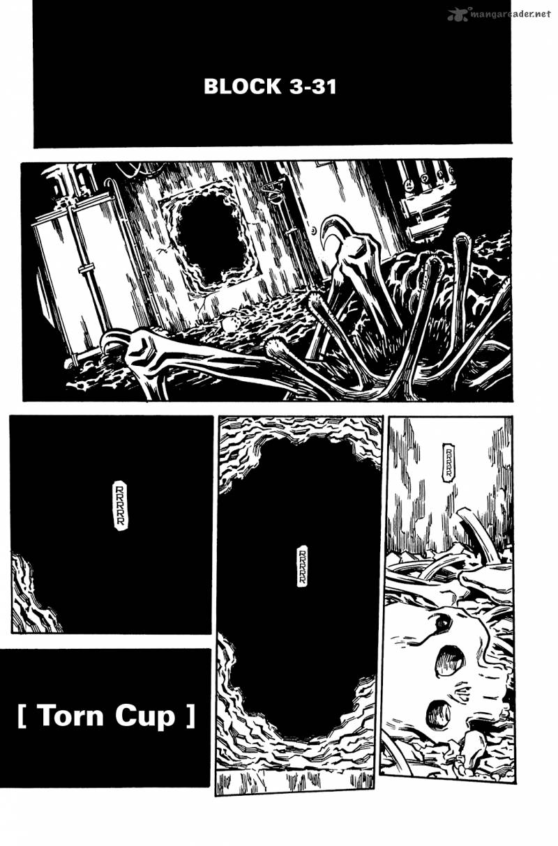 soil_82_8