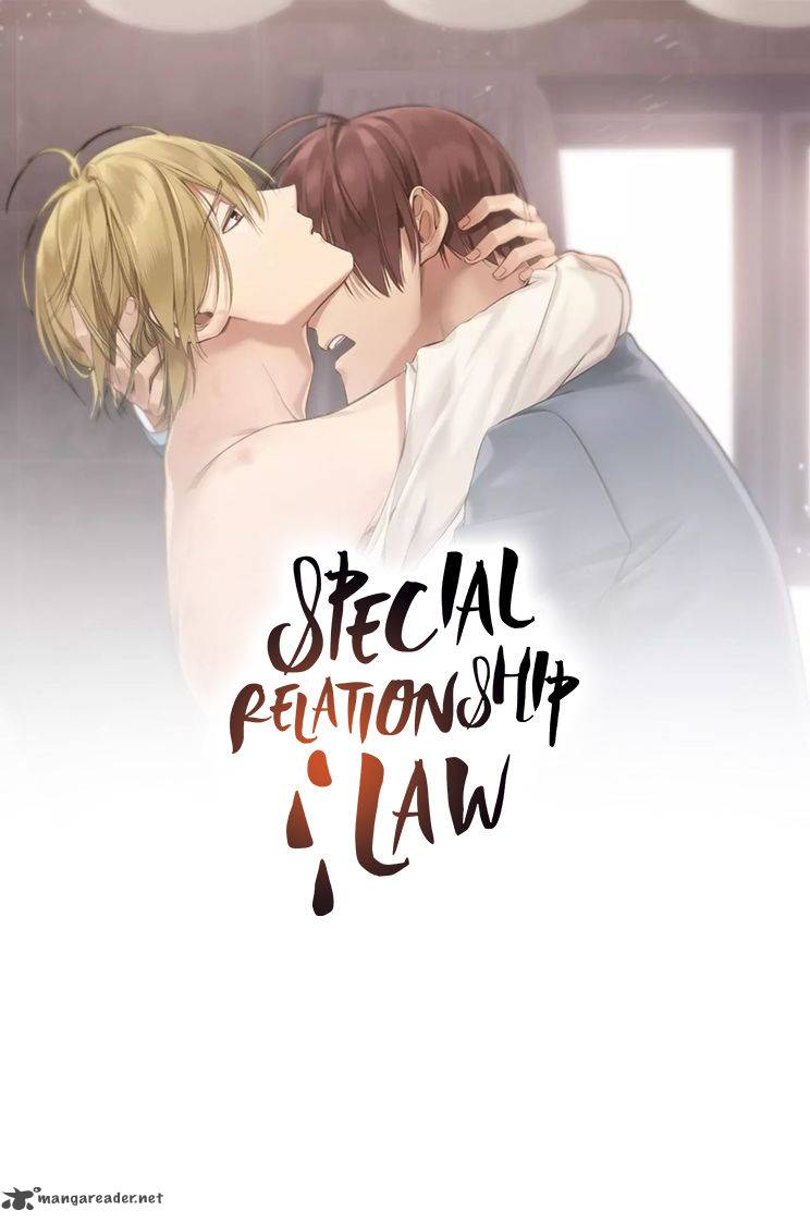 special_relationship_law_2_1