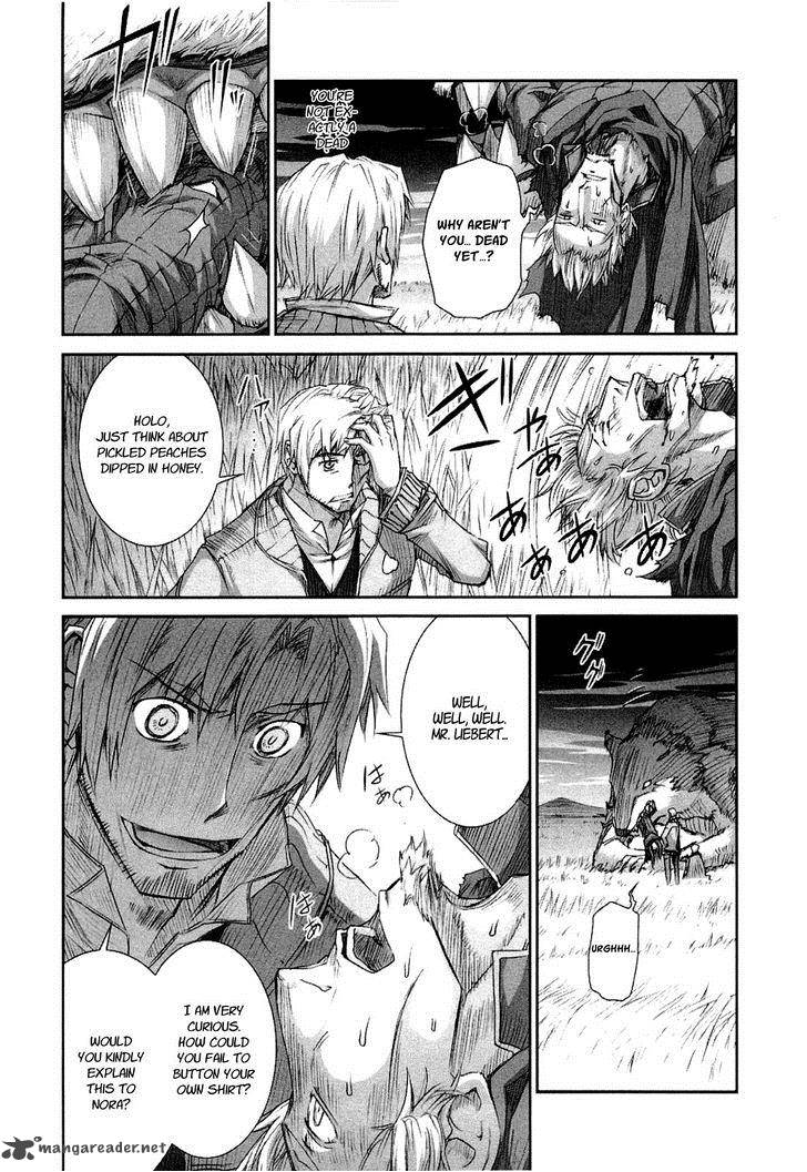 spice_and_wolf_34_16