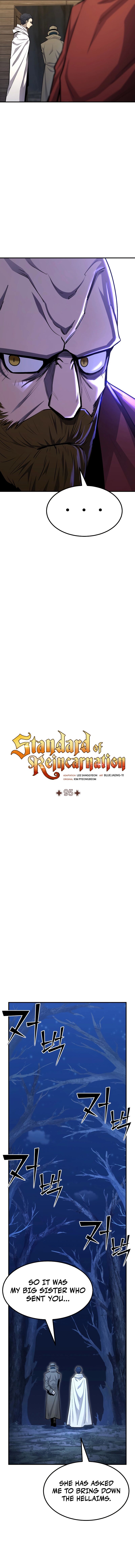 standard_of_reincarnation_95_8