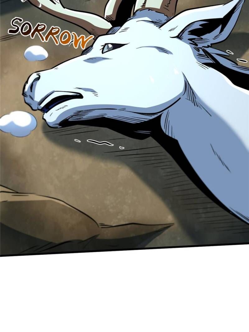 super_gene_331_24