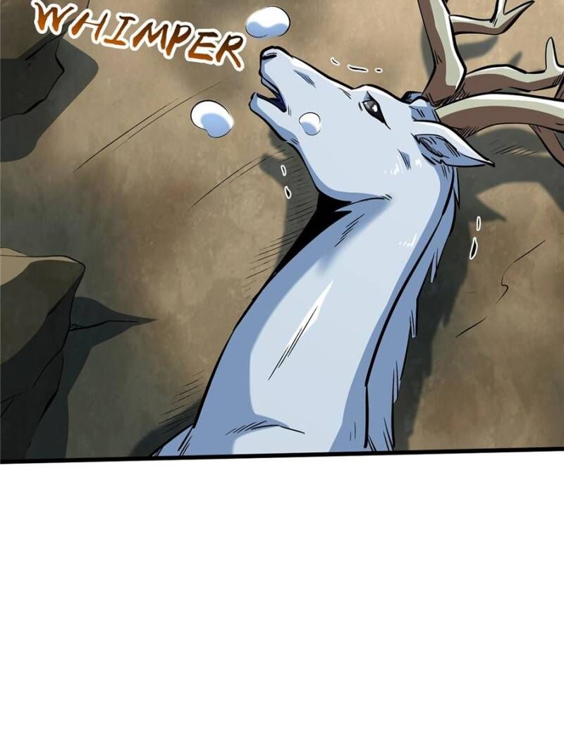 super_gene_331_27