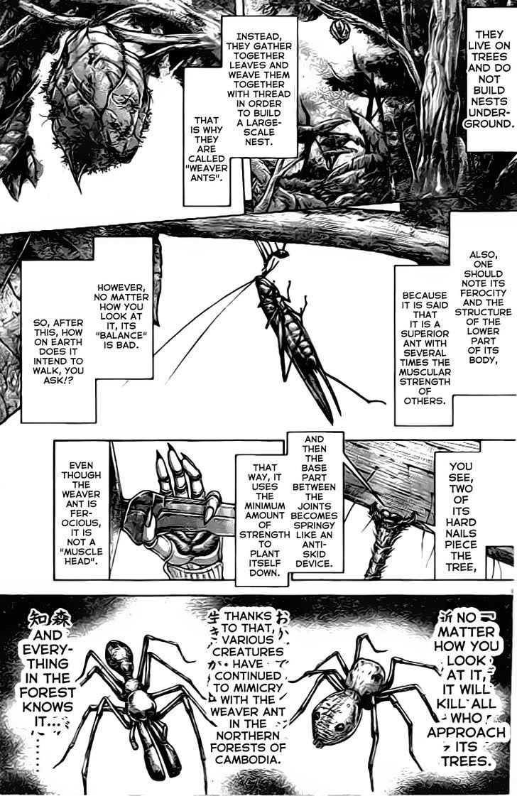 terra_formars_208_6