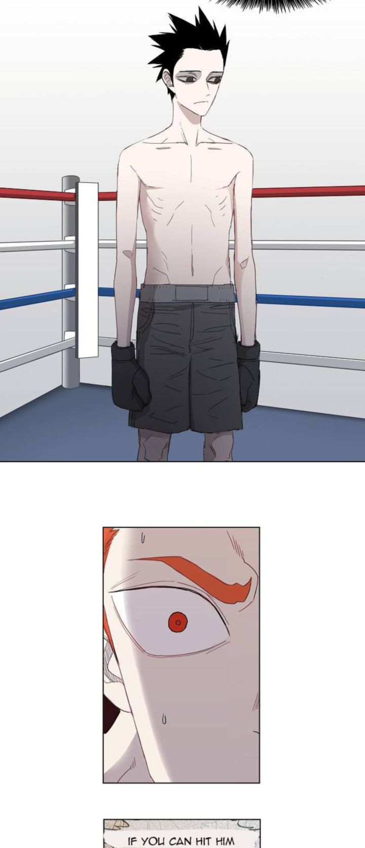 the_boxer_12_27