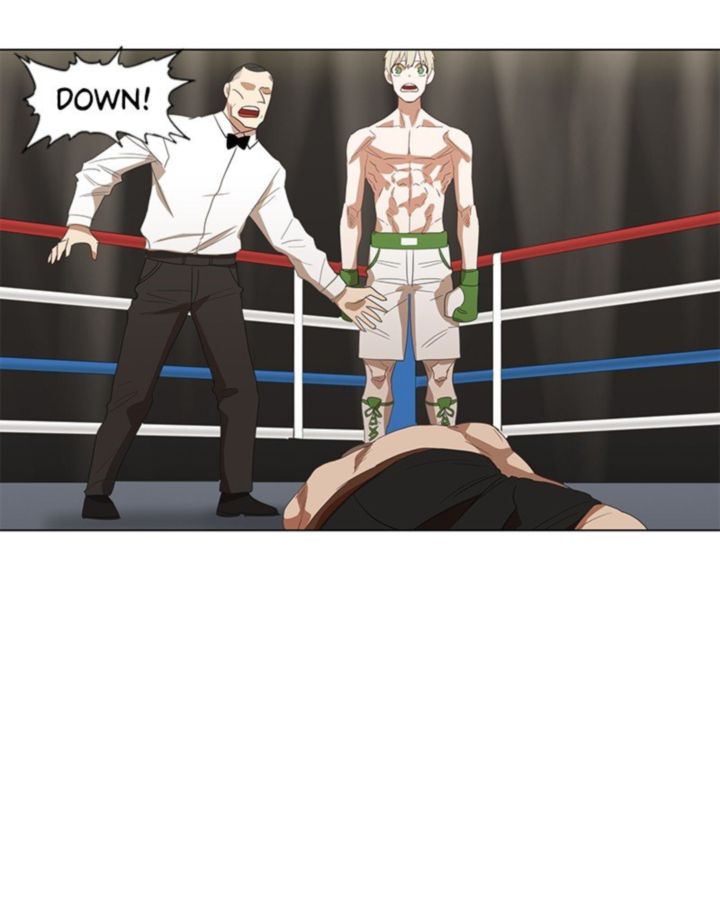 the_boxer_35_55