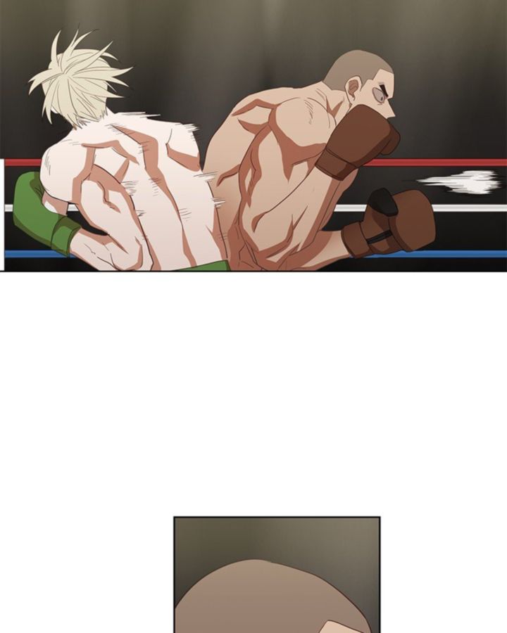the_boxer_35_96