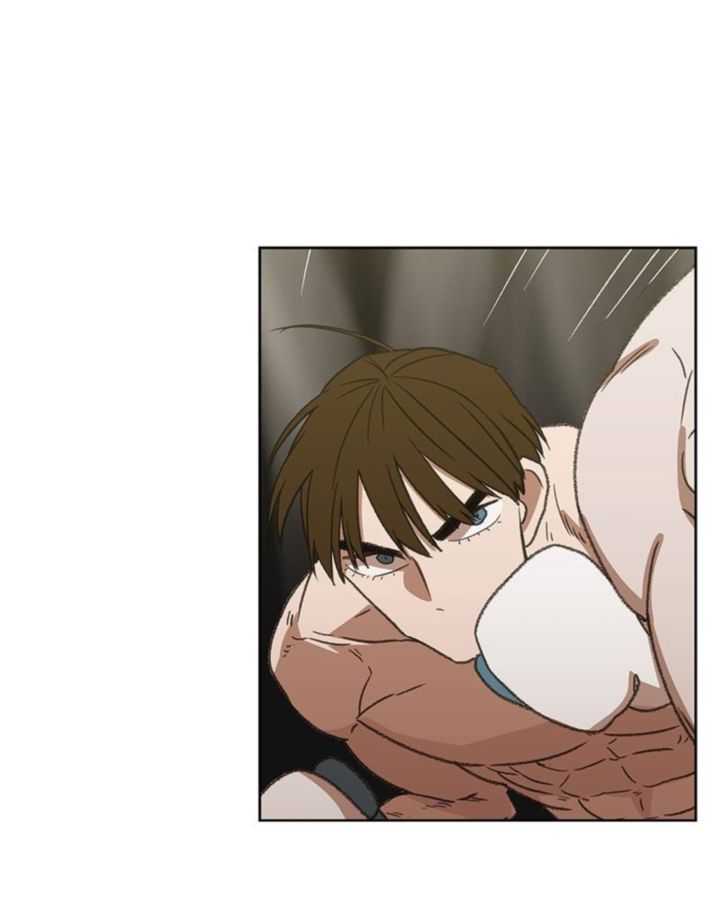 the_boxer_71_93