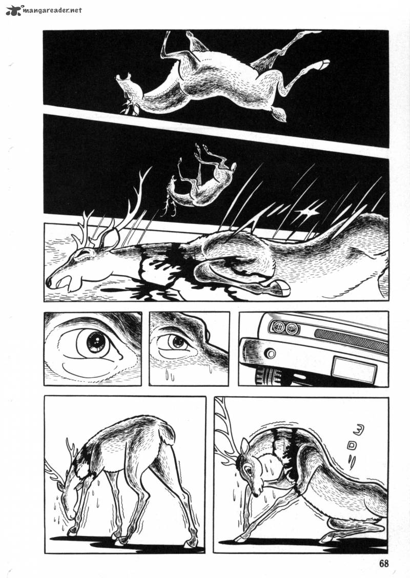 the_crater_3_3