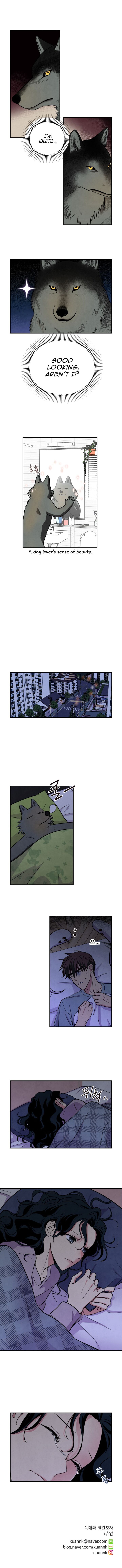 the_little_red_riding_hood_38_9