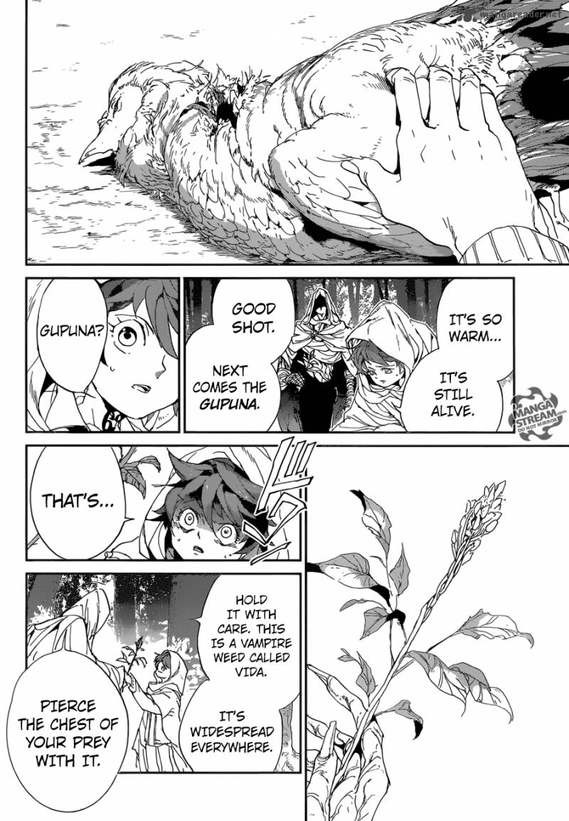the_promised_neverland_49_14