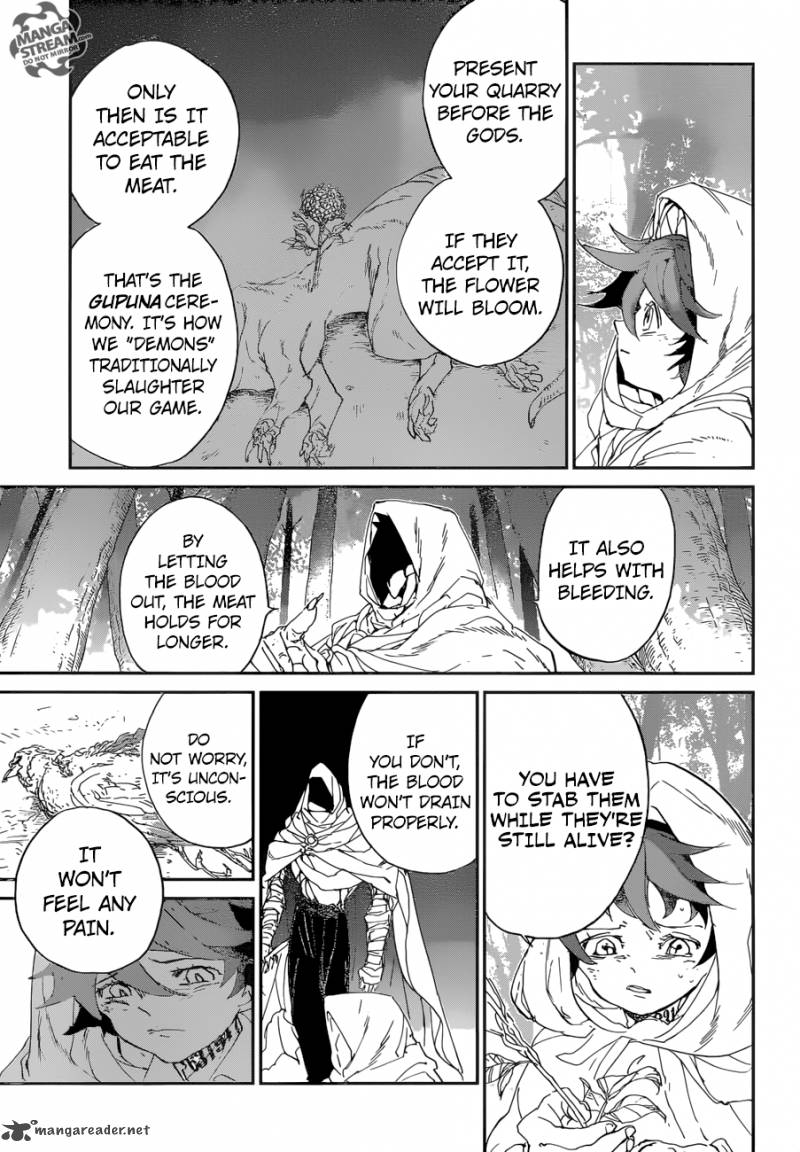 the_promised_neverland_49_15