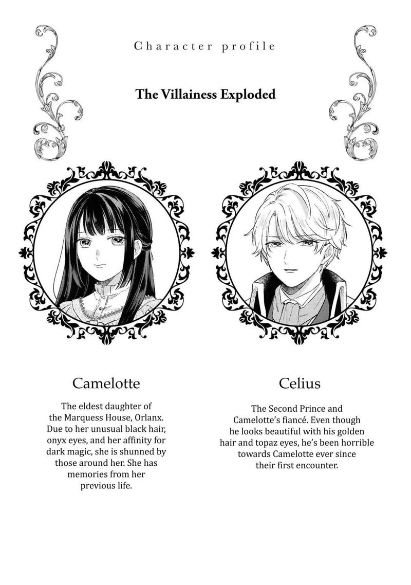 though_i_may_be_a_villainess_ill_show_you_i_can_obtain_happiness_10_2