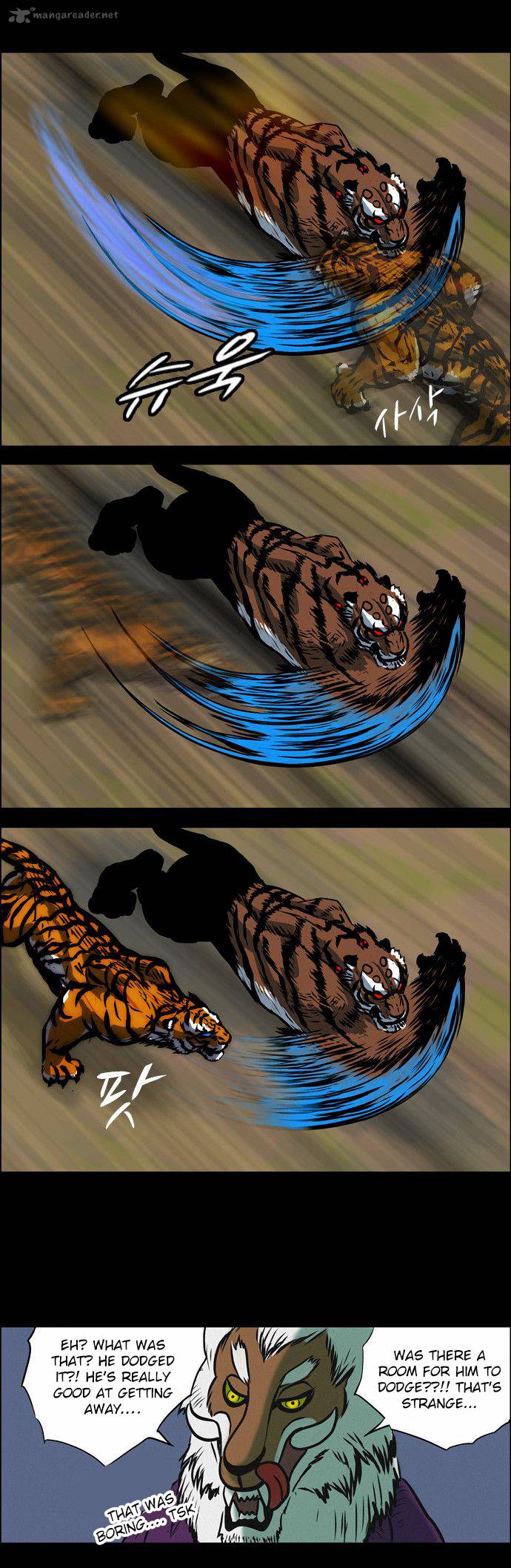 tiger_brother_barkhan_3_12
