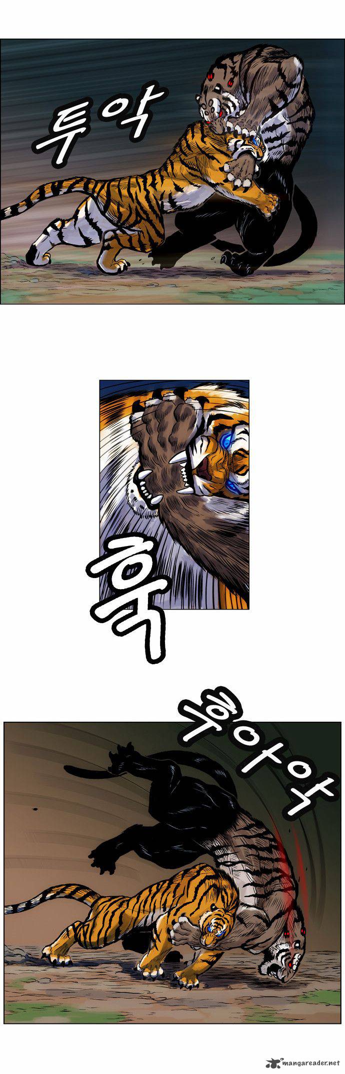 tiger_brother_barkhan_3_24