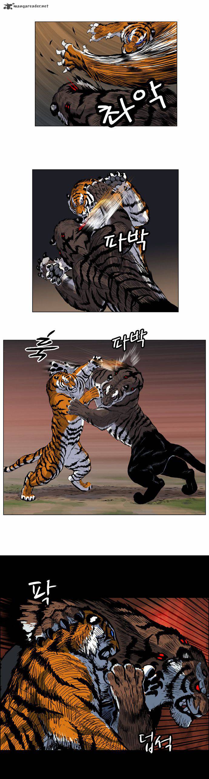 tiger_brother_barkhan_3_27