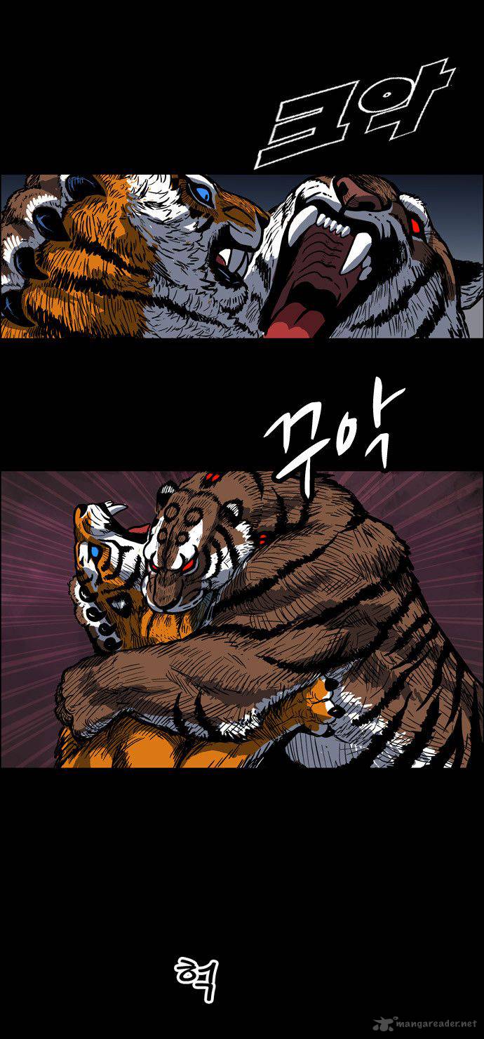tiger_brother_barkhan_3_28