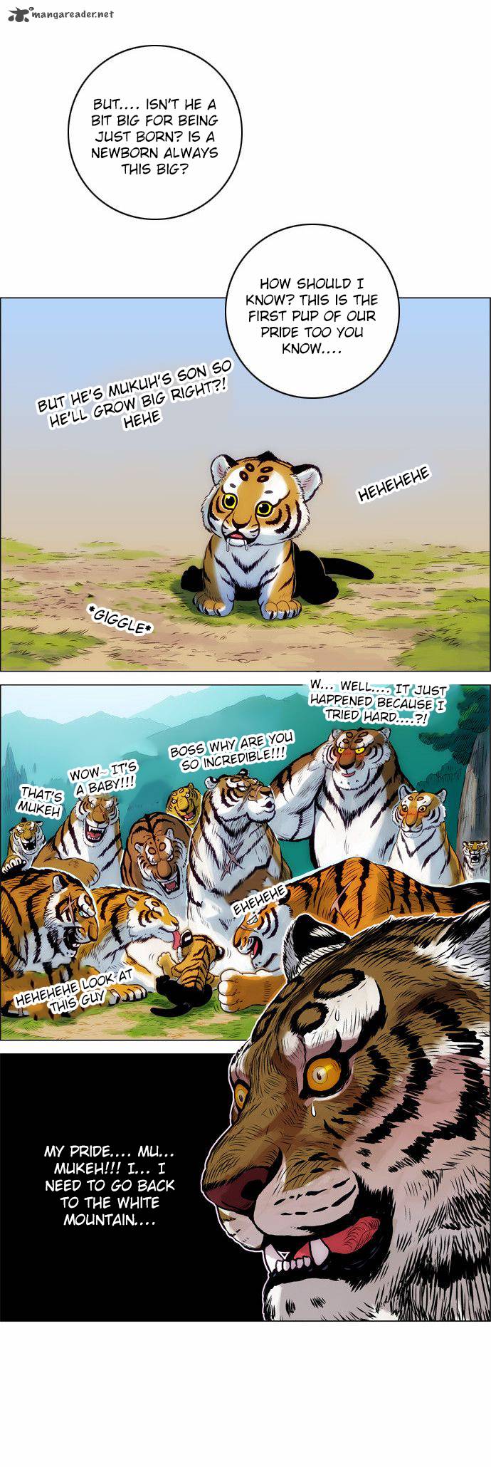 tiger_brother_barkhan_3_47