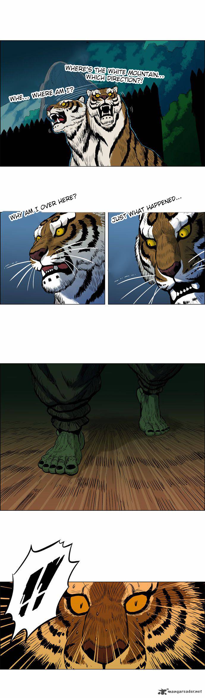 tiger_brother_barkhan_3_48