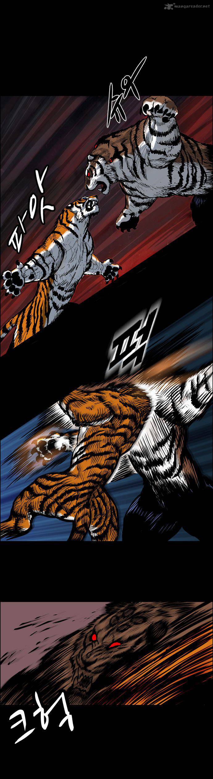 tiger_brother_barkhan_3_6