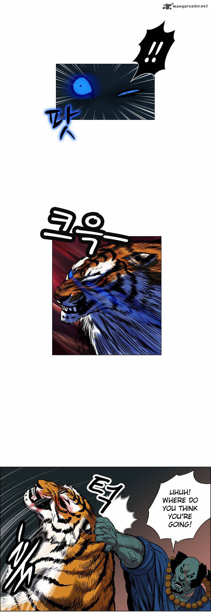 tiger_brother_barkhan_4_26