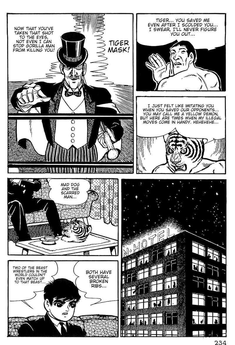 tiger_mask_10_17