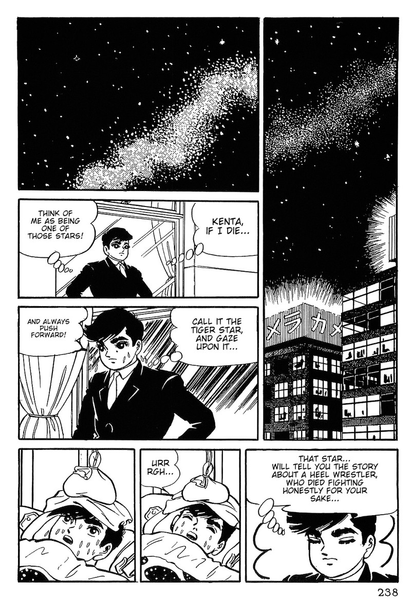 tiger_mask_10_21