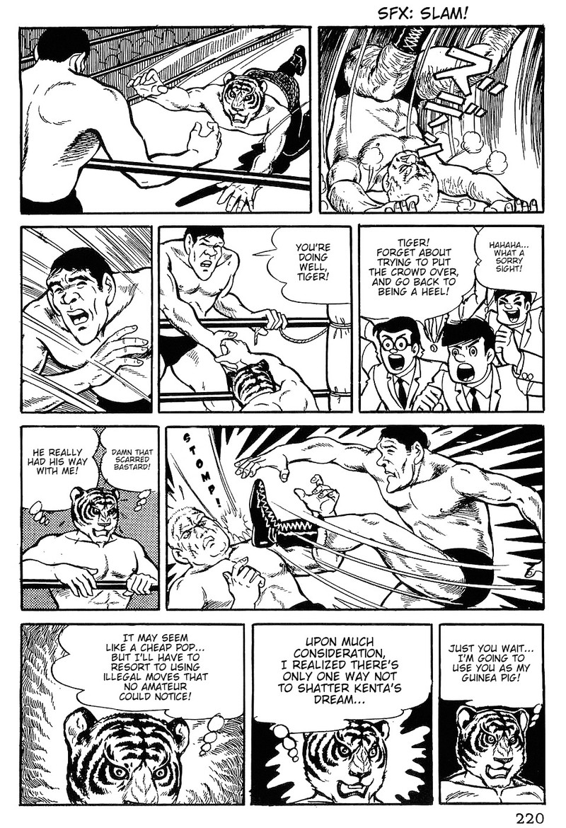 tiger_mask_10_3