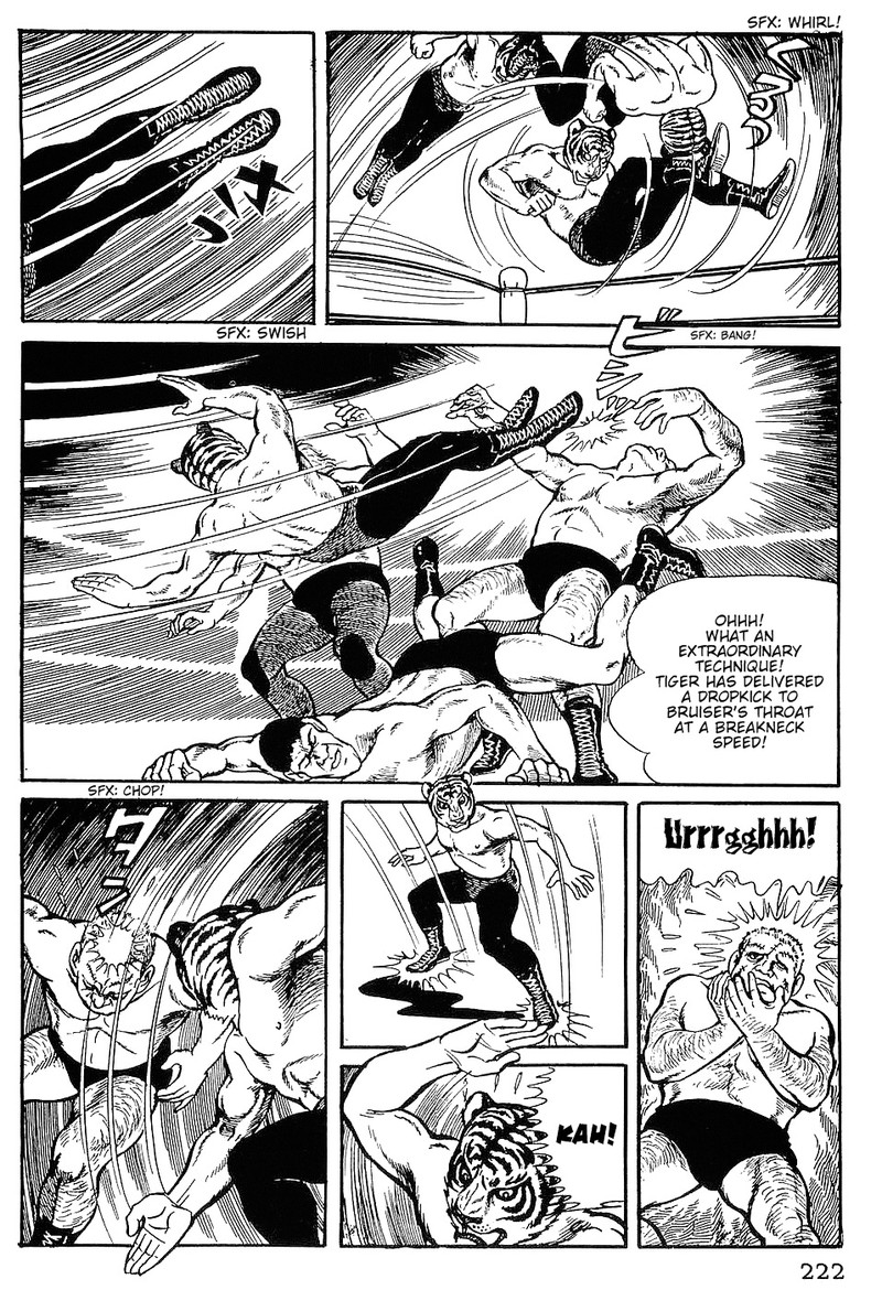tiger_mask_10_5