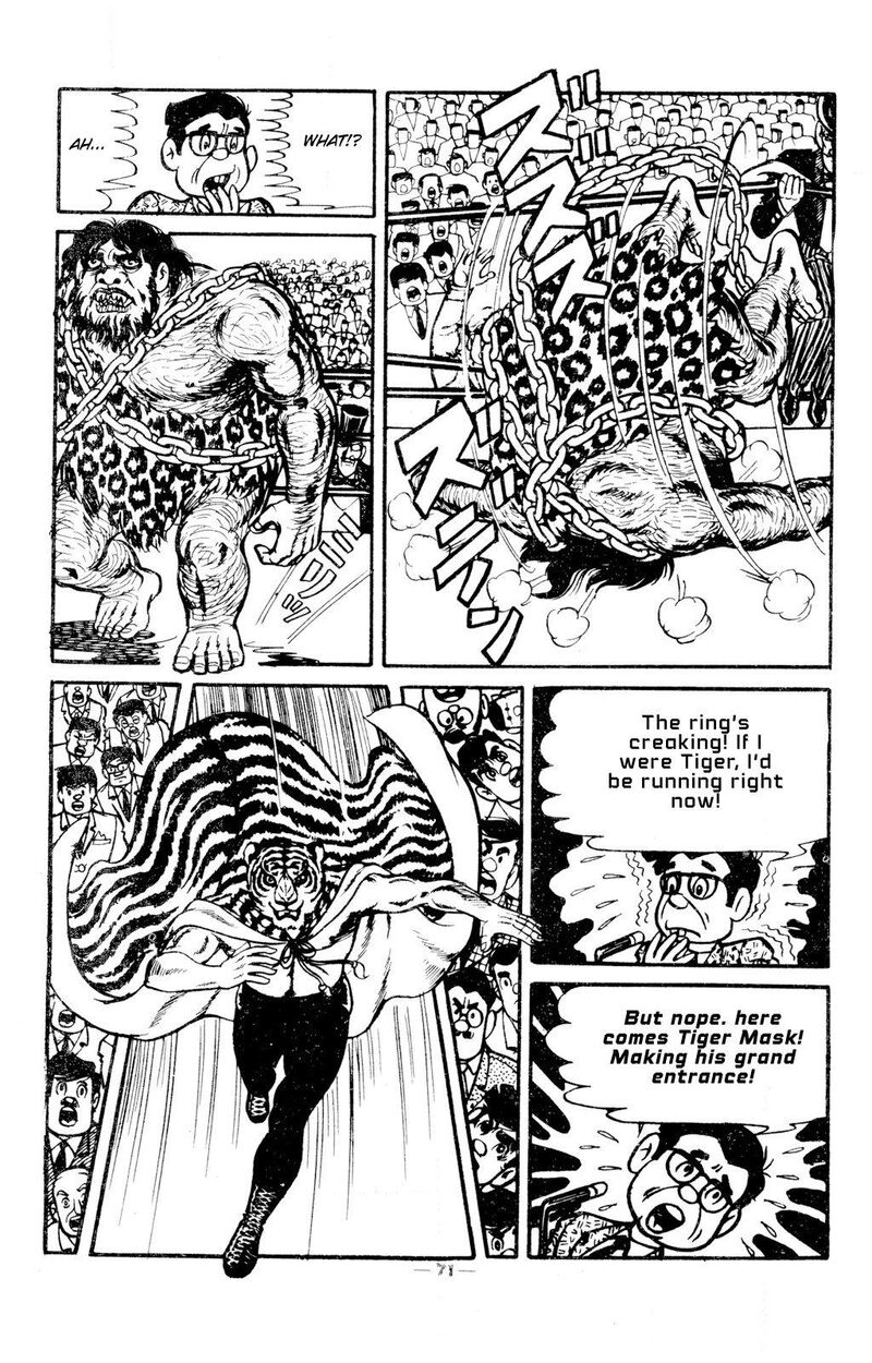 tiger_mask_11_16