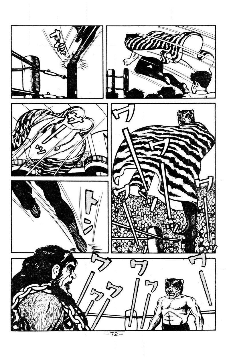 tiger_mask_11_17