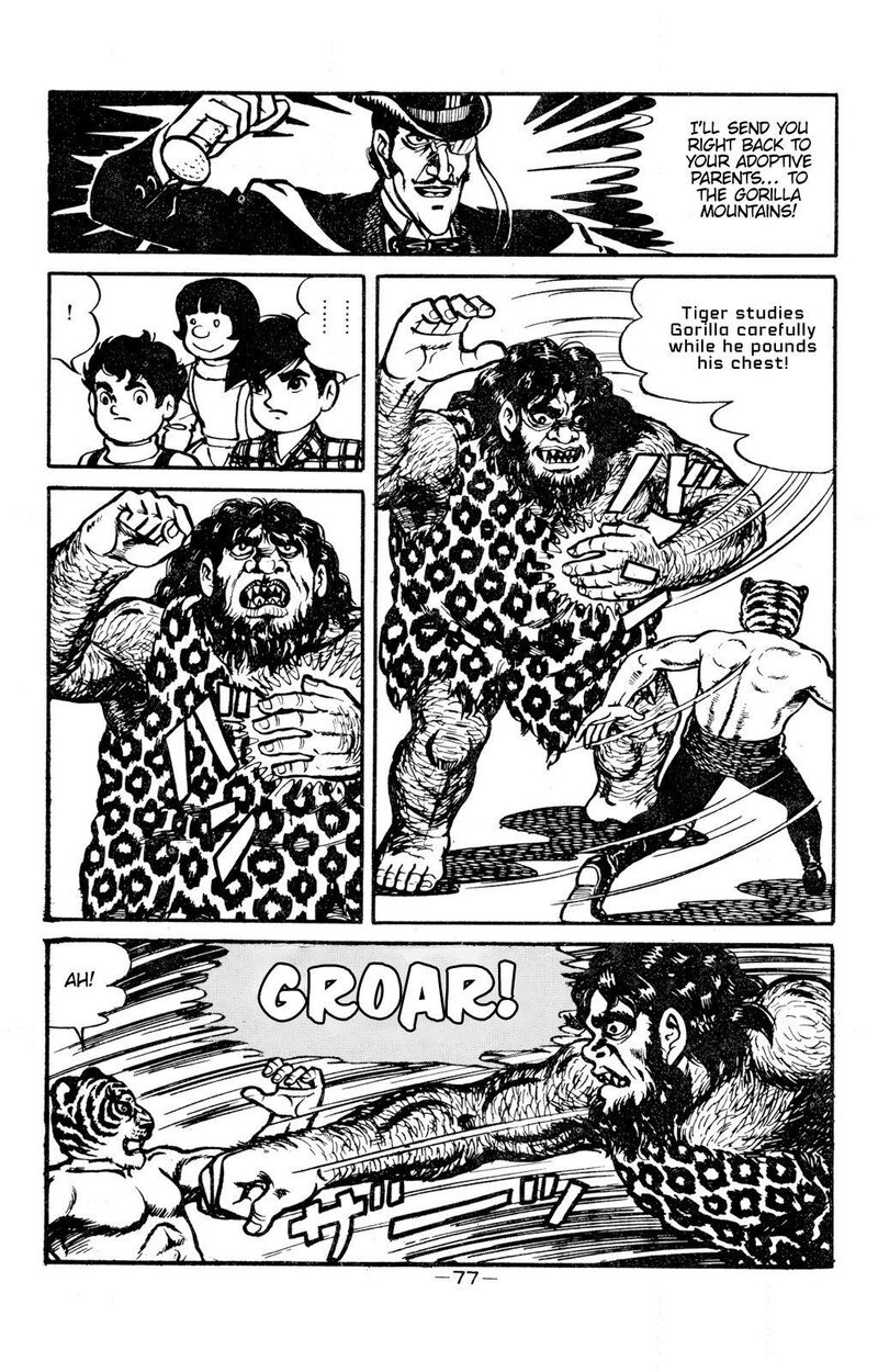 tiger_mask_11_22