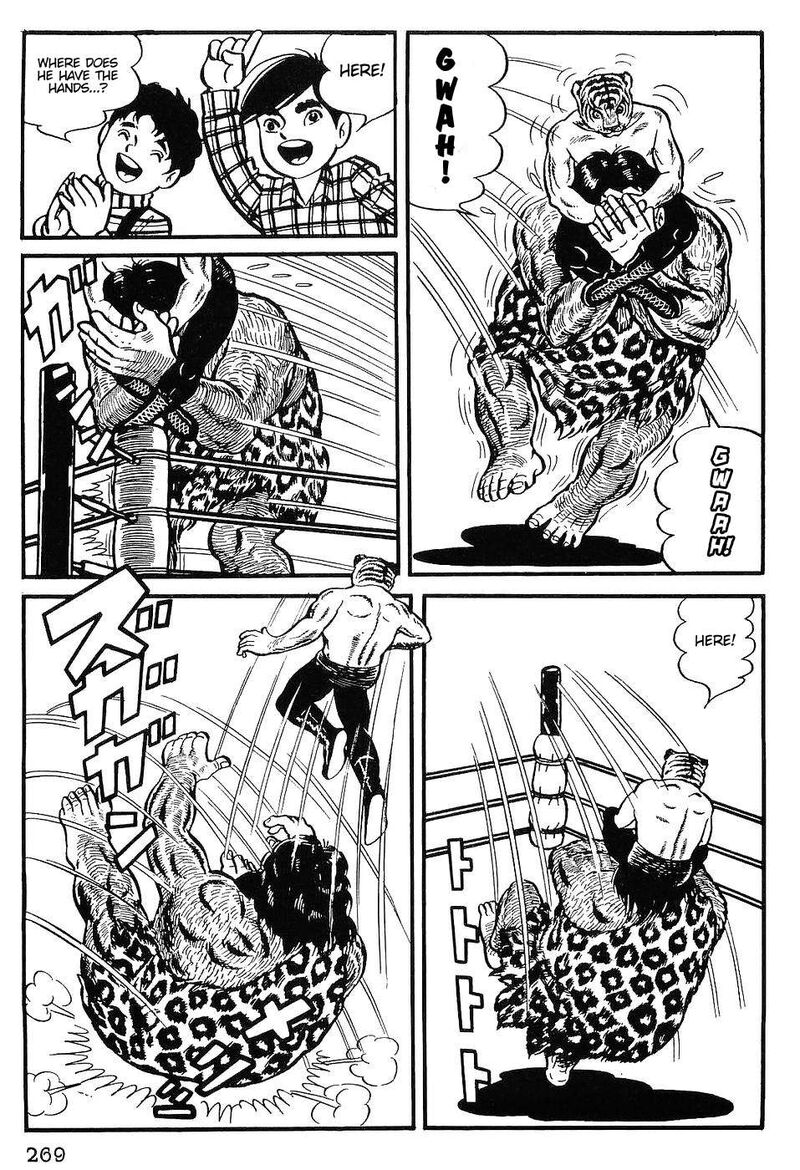 tiger_mask_12_10