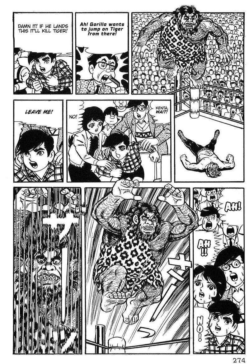 tiger_mask_12_15