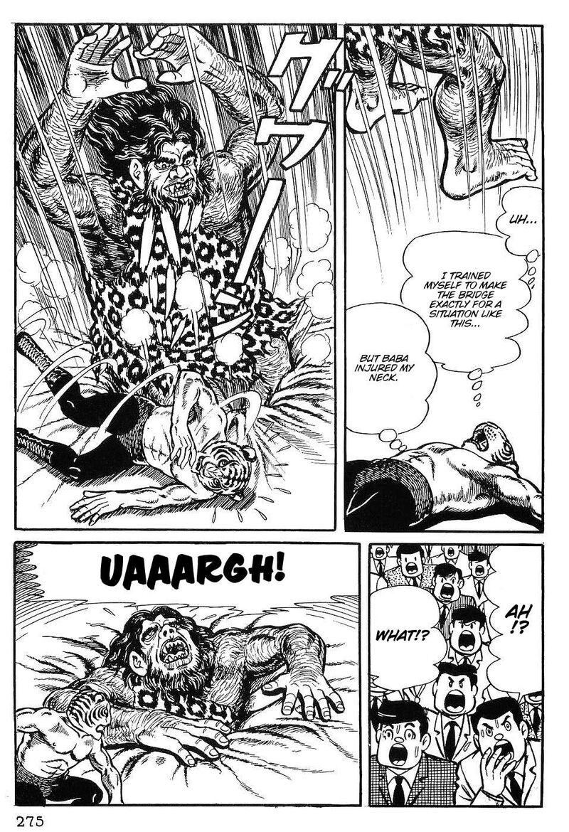 tiger_mask_12_16