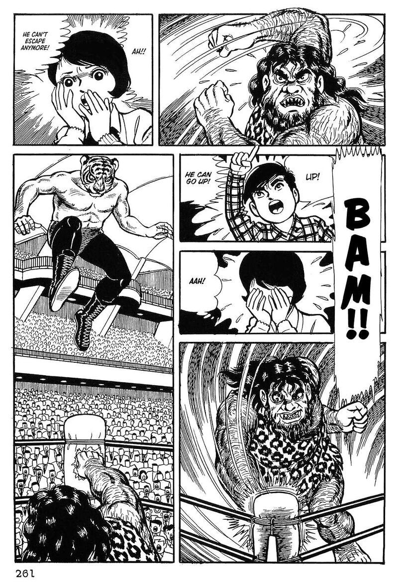 tiger_mask_12_2