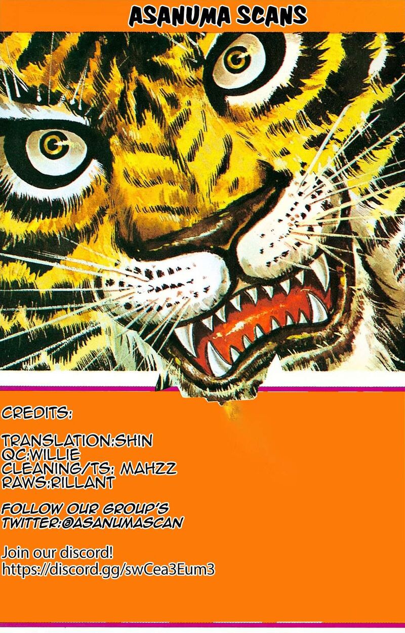 tiger_mask_12_22