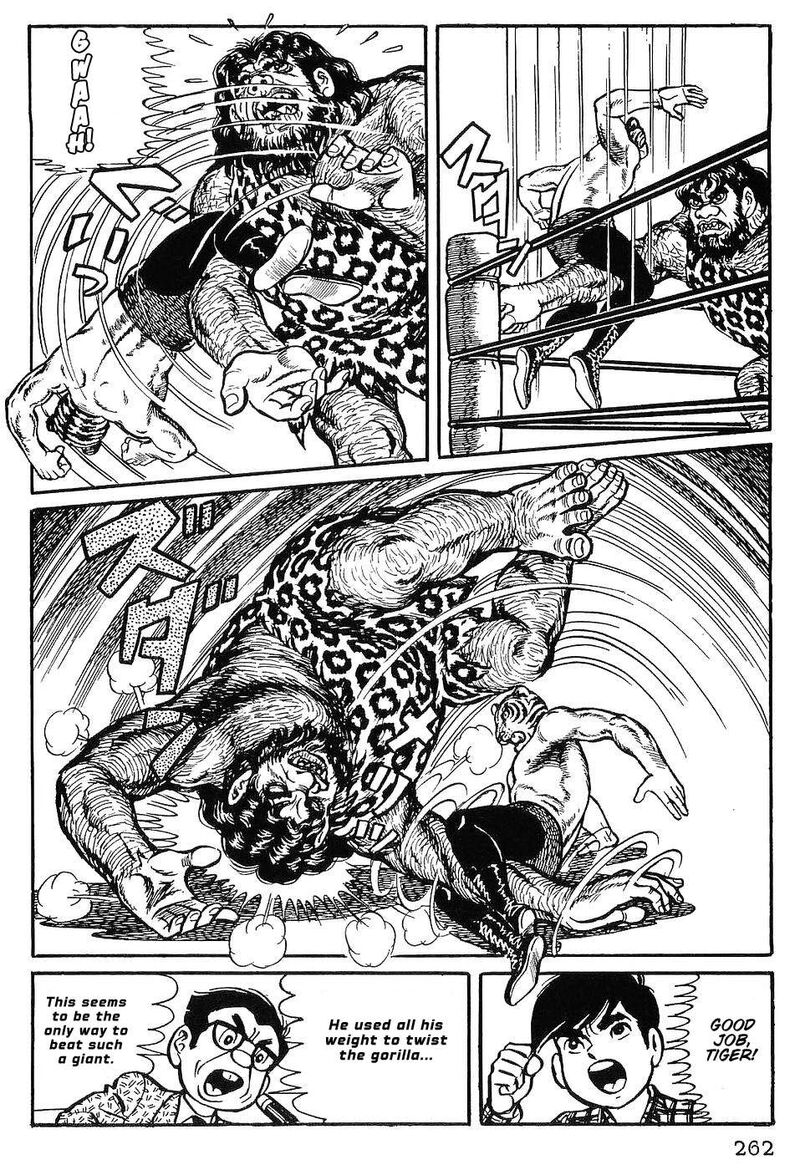tiger_mask_12_3