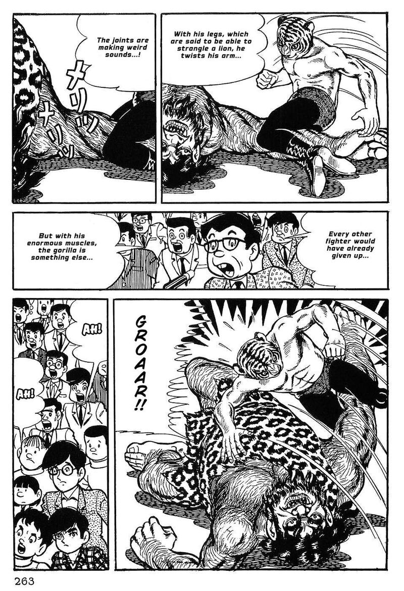 tiger_mask_12_4