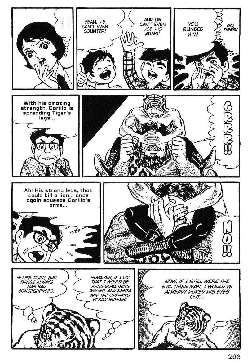 tiger_mask_12_9