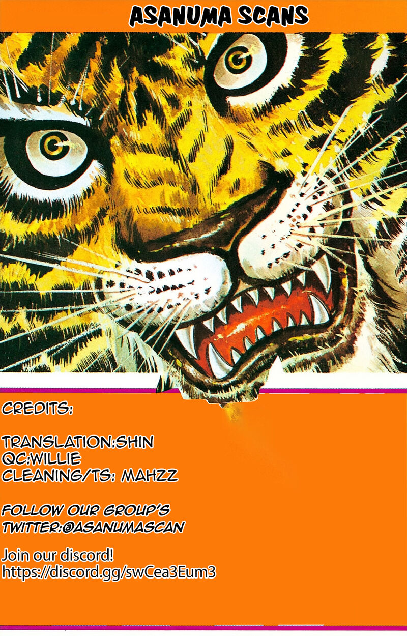 tiger_mask_13_23