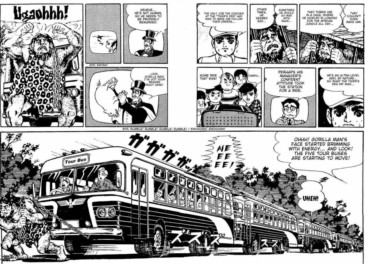 tiger_mask_9_24