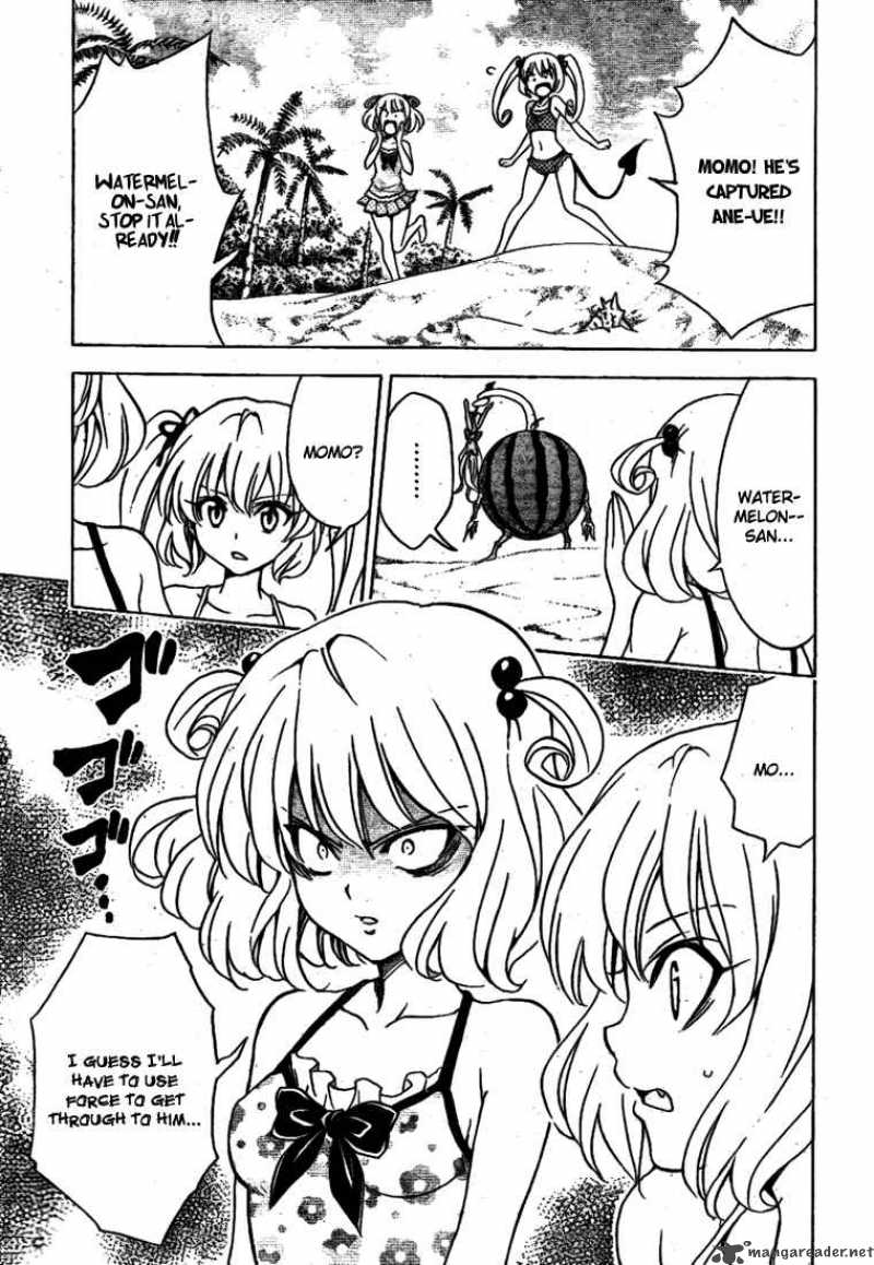 to_love_ru_114_14