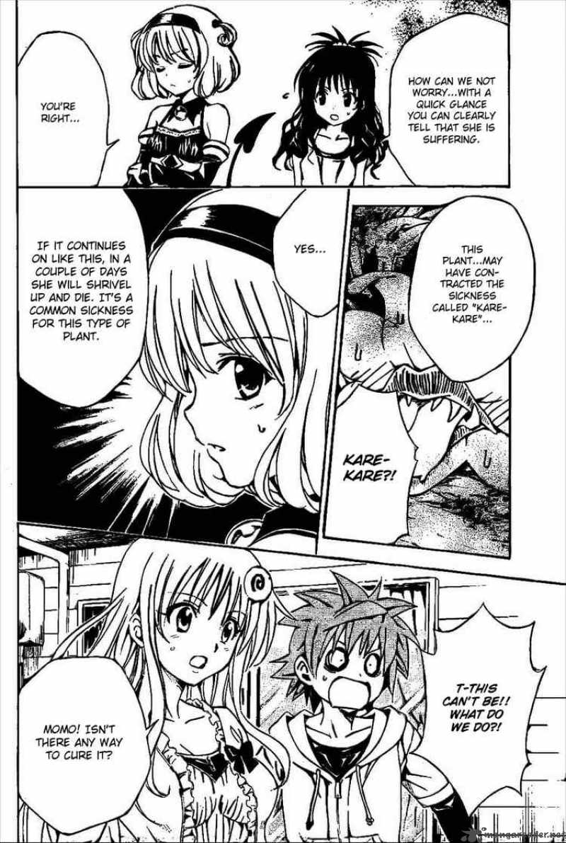 to_love_ru_124_6