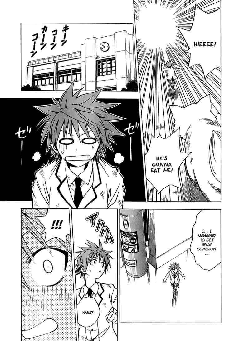 to_love_ru_29_11