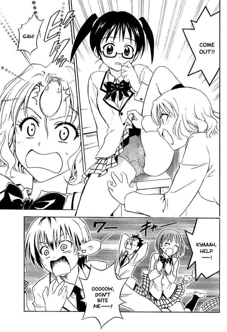 to_love_ru_31_11