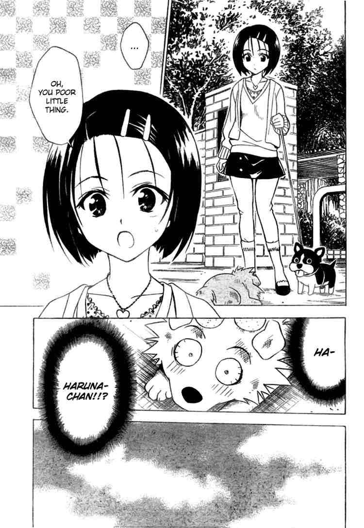 to_love_ru_43_17